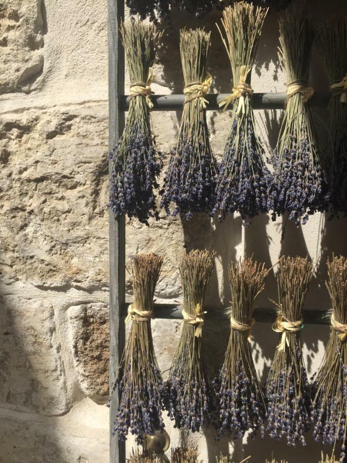 Suite Sur La Sorgue L'Isle-sur-la-Sorgue Kültér fotó